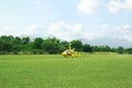 Yellow rotorcraft on grass near trees outdoors Royalty Free Stock Photo