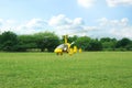 Yellow rotorcraft on grass near trees outdoors