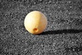 Yellow round buoy out of the water and its shadow in black and white Royalty Free Stock Photo