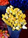 Yellow rouses Royalty Free Stock Photo