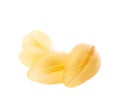 Yellow royal trinity lily petal leaves isolated Royalty Free Stock Photo