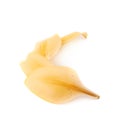 Yellow royal trinity lily petal leaves isolated Royalty Free Stock Photo