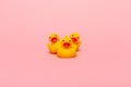 Yellow rubber baby ducks Royalty Free Stock Photo