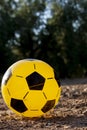 a yellow rubber ball with black pentagons on the field