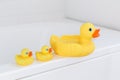 Yellow rubber bath ducks sitting on the edge of a white bathtub. Royalty Free Stock Photo