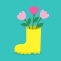 Yellow rubber boot with pink tulip flower bouquet set. Cute cartoon spring tulips flowers. Happy Easter. Decoration element. Royalty Free Stock Photo