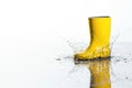 A yellow rubber boot in a puddle. Space for text. Royalty Free Stock Photo