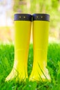 Yellow rubber boots close up on the lush green grass Royalty Free Stock Photo