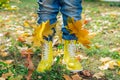 Yellow rubber boots on the grass with bouquete of yellow maple leaves inside. Royalty Free Stock Photo
