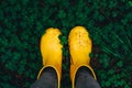 Yellow rubber boots on green grass. Above. Royalty Free Stock Photo