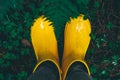 Yellow rubber boots on green grass. Above. Royalty Free Stock Photo