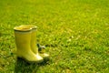 Yellow rubber boots on the green grass, on the boots sits a bird Royalty Free Stock Photo
