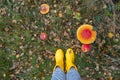 Yellow rubber boots, toadstools, fly agarics in the grass. Autumn background. Top view , there is room for text. Royalty Free Stock Photo