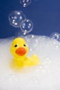 Yellow Rubber Duck Royalty Free Stock Photo