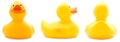Yellow Rubber Duck Royalty Free Stock Photo