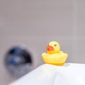 Yellow rubber duck in the bathroom