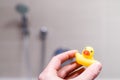 Yellow rubber duck in the bathroom