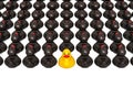 Yellow rubber duck among black rubber ducks. 3D rendering