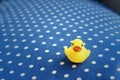 Yellow rubber duck on a blue background.