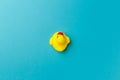 Yellow rubber duck on blue background. Minimal style with colorful paper backdrop. Top view. Trendy colorful photo. Flat lay. Copy Royalty Free Stock Photo