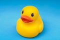 Yellow rubber duck on blue background water Royalty Free Stock Photo