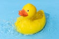 Yellow rubber duck on blue water background with splashing droplets Royalty Free Stock Photo