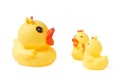 Yellow rubber duck family isolated Royalty Free Stock Photo