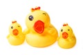 Yellow rubber duck family isolated Royalty Free Stock Photo