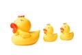 Yellow rubber duck family isolated Royalty Free Stock Photo