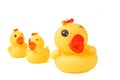 Yellow rubber duck family isolated Royalty Free Stock Photo