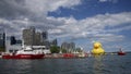 Yellow Rubber Duck floating placidly in the harbour of Toronto city