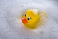 Yellow rubber duck floating in soap suds Royalty Free Stock Photo