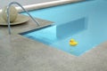 yellow rubber duck in an indoor pool