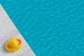 Yellow rubber duck near to the pool. Summer minimal concept Royalty Free Stock Photo