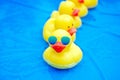 Yellow Rubber Duck with Sunglasses Royalty Free Stock Photo