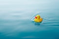 Yellow rubber duck Royalty Free Stock Photo