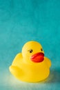 Yellow rubber duck toy on blue background Royalty Free Stock Photo