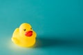 Yellow rubber duck toy on blue background Royalty Free Stock Photo