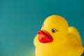 Yellow rubber duck toy on blue background Royalty Free Stock Photo