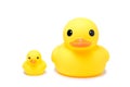 Yellow rubber duck toy in isolate white background Royalty Free Stock Photo