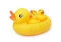 Yellow rubber duck toy isolated Royalty Free Stock Photo