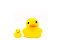 Yellow rubber duck