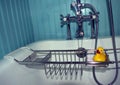 Yellow Rubber Duckie in metal caddy with antique bathrub fixtures