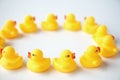 Yellow rubber duckies Royalty Free Stock Photo