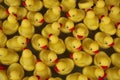 Yellow Rubber Duckies