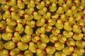 Yellow Rubber Duckies