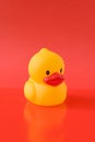 yellow rubber duckling Royalty Free Stock Photo