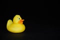 Yellow rubber duckling on a black background. Duckling rattle toy squeaker in hand, on the palm