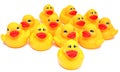 Yellow rubber ducks Royalty Free Stock Photo