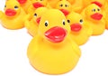 Yellow rubber ducks Royalty Free Stock Photo